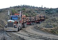 Log Haulage October 2024